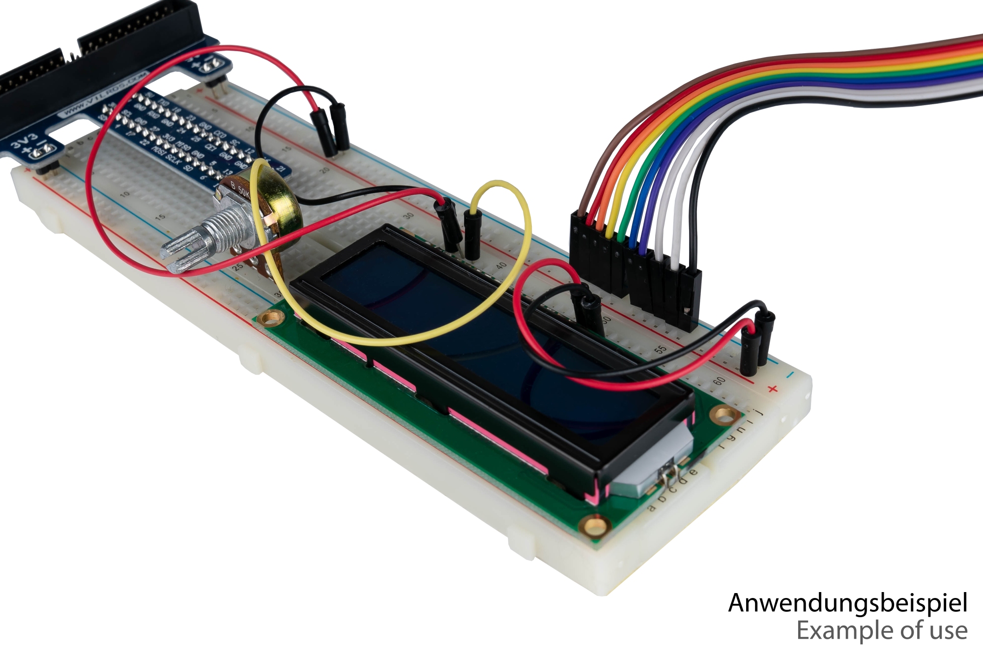 kabelmeister® Jumper Wire 40-Pin trennbare Adern für Arduino, Raspberry Pi etc., Stecker an Stecker, AWG28, 40cm