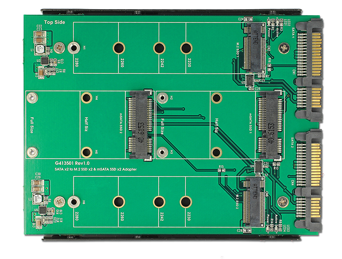 3.5" Konverter 2x SATA 22 Pin an Dualport 2x M.2 / 2x mSATA, Delock® [62946]