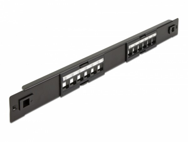 19? Keystone Patchpanel 12 Port werkzeugfrei, Delock® [66821]