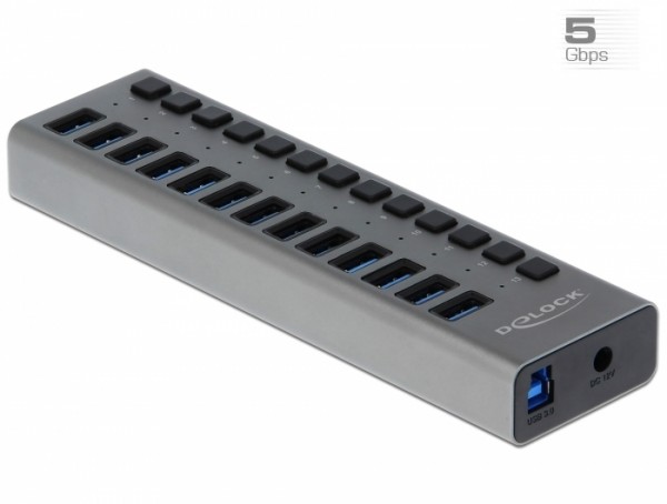 Externer SuperSpeed USB Hub mit 13 Ports + Schalter, Delock® [63738]