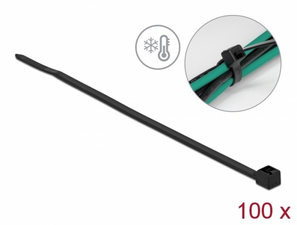 Kabelbinder kälteresistent L 100 x B 2,5 mm schwarz 100 Stück, Delock® [19186]