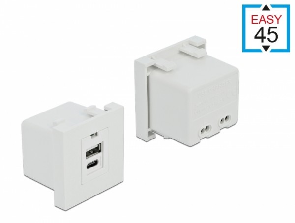 Easy 45 USB Ladeportmodul 1 x USB Typ-A + 1 x USB Type-C™, Delock® [81313]