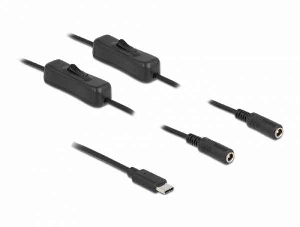 Kabel USB Type-C™ Stecker zu 2 x DC 5,5 x 2,1 mm Buchse mit Schalter 1 m, Delock® [86800]